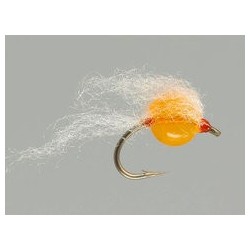 Otters Soft Milk Egg Apricot