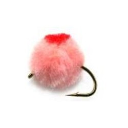 Roe Bug Pink
