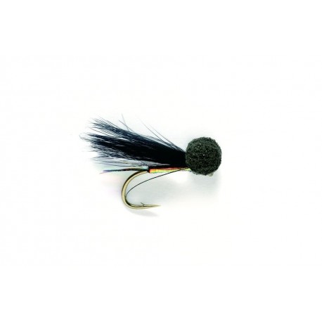 Booby Cormorant Traffic Light