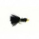 Cactus Fly Black