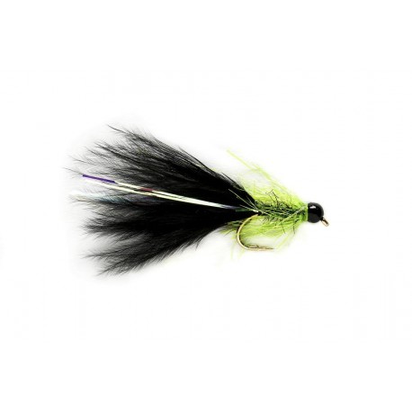 Kj Krystal Black Cat Taddy Th