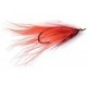Sunkist Spey