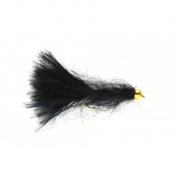 Leech Black Gold