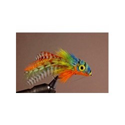 White Lock Walker Fish