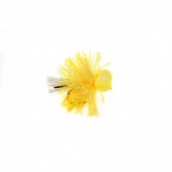 Micro Sunburst Blob Booby