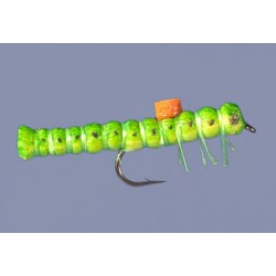 Whitlocks Bright Spot Inch Worm Green