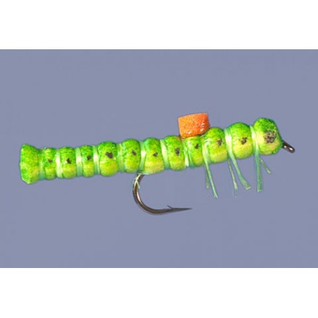 Whitlocks Bright Spot Inch Worm Green