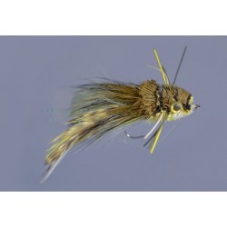 Whitlocks Diving Frog White Belly