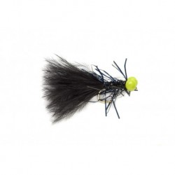 Neutral Density Black Booby