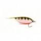 Polar Minnow Perch