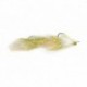 Articulated Trout Slider Gold