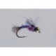 Allisons Purple Wild Thing