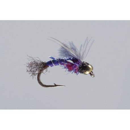 Allisons Purple Wild Thing