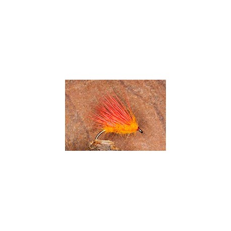 Barbara Cartl and Hog