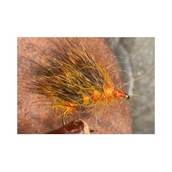 Golden Flame Hedge Hog