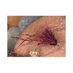 Half Hog Holo Hoppe Claret