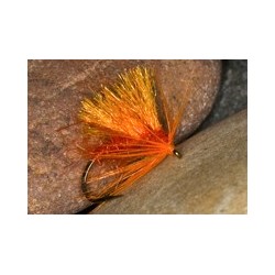 Hot Hog Peach Orange