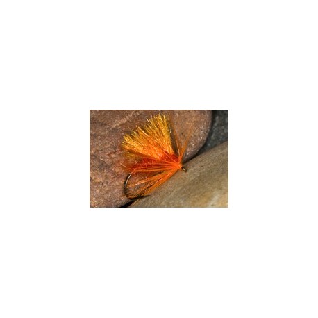 Hot Hog Peach Orange