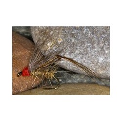 Hothead Hares Ear Favourite