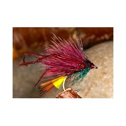 Leggy Claret Bumble Hog