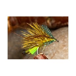 Leggy Olive Bumble Hog