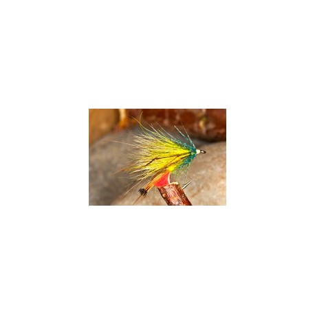 Leggy Picric Bumble Hog