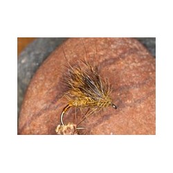 Pine Squirrel Half Hog