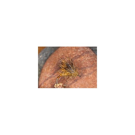 Pine Squirrel Half Hog