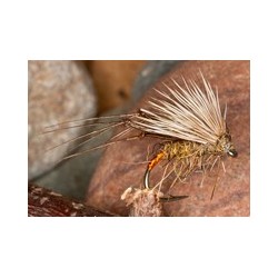 Pine Squirrel Hhog Hopper