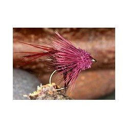 Pulling Hopper Muddled Claret