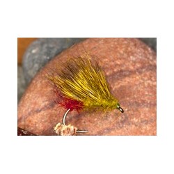 Red Arsed Olive Hedge Hog