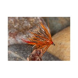 Sedge Hog Orange Olive