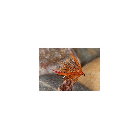 Sedge Hog Orange Olive