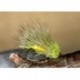 Straggle Sedge Hog Picric