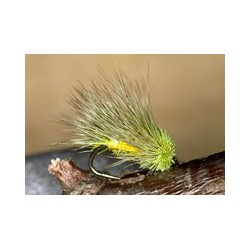 Straggle Sedge Hog Picric
