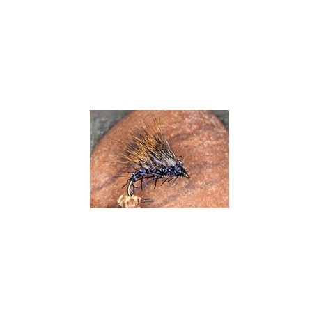 Uv Black Straggle Hog