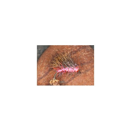 Uv Coral Stragglehog