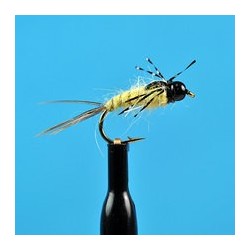 Bead Head Anatomic Nymph