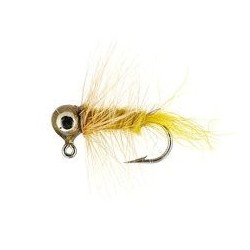 Yellow Eyed Jig