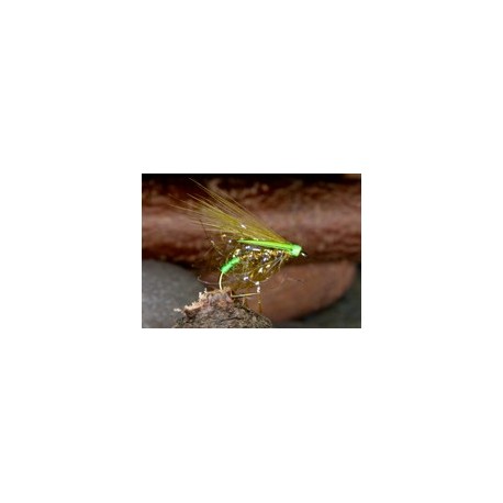 Cormorantolivestraggle