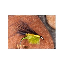 Fuzz Cormorant Olive