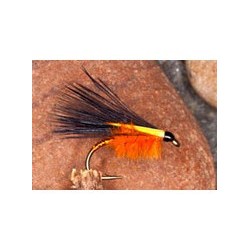 Fuzz Cormorant Orange