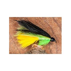 Hutchs Board House Cat