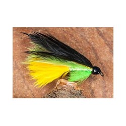 Hutchs Boardhouse Cat