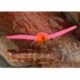 Infamous Pink Worm