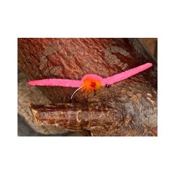 Infamous Pink Worm
