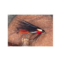 Peter Ross Cormorant