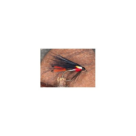 Peter Ross Cormorant