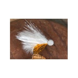 Pseudo Cat Booby White Sunburst