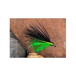 Pseudo Corm Cat Green